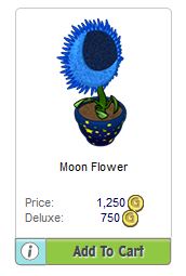moon-flower